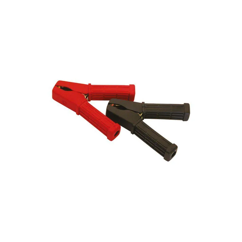 Carpoint Accupooltang