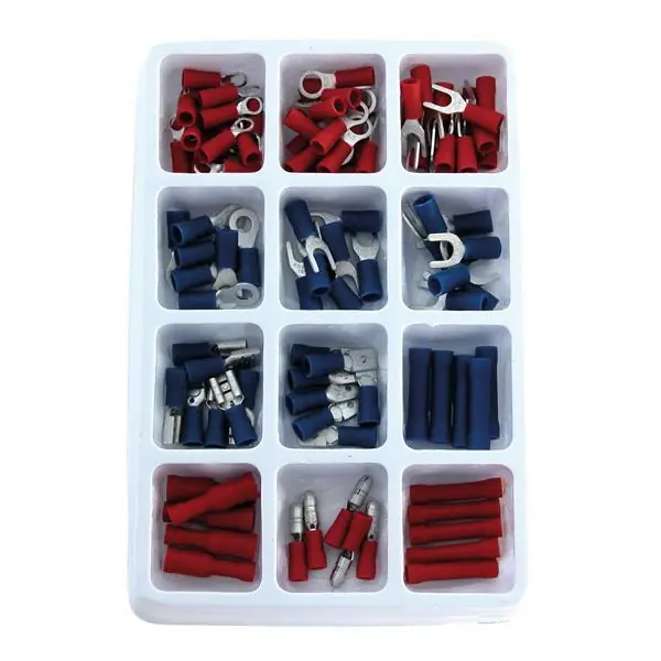 Carpoint Assortiment Kabelschoenen 100 stuks