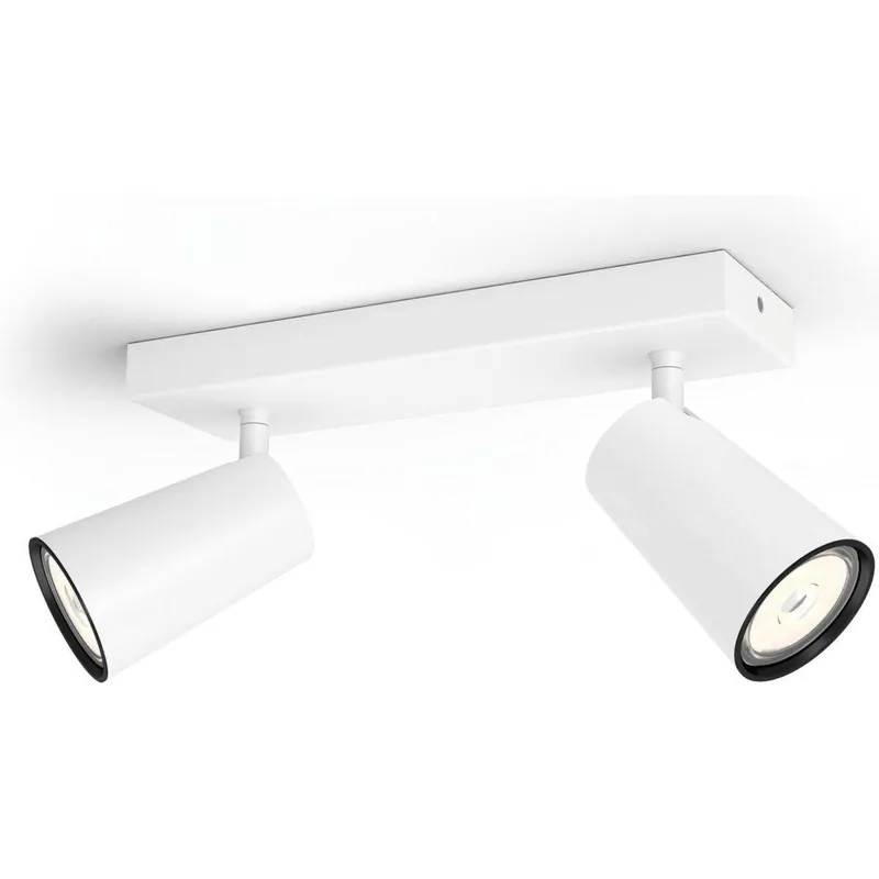 Opbouwspot Philips Paisley wit 2xnw 230V