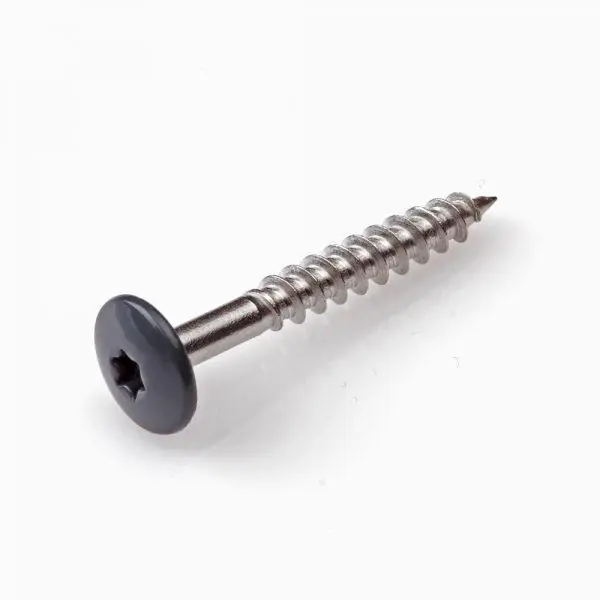 Home-fix kleurkopschroef RVS-A2 TX-20 antr. ral7016 4.8x38 (8)
