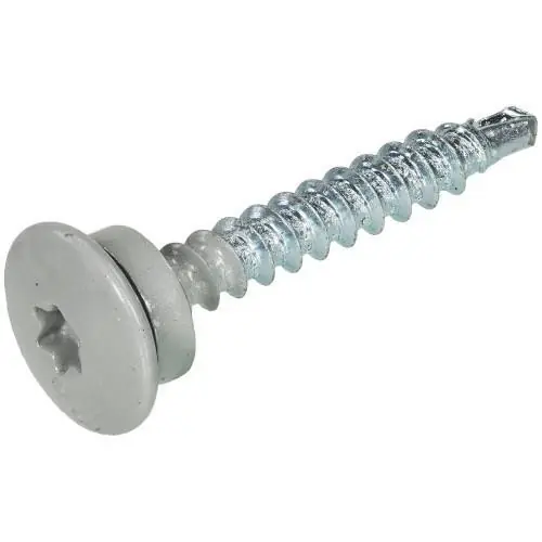 Dak & Gevel dakpanprofielschroef BP-1 VZ LBK TX-25 blank alu RAL9006 4.8x35 (50)