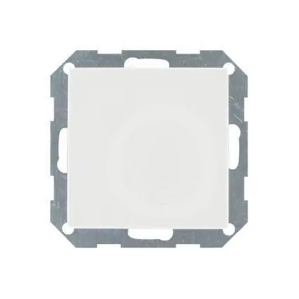 Gira ST55 blindplaat wit
