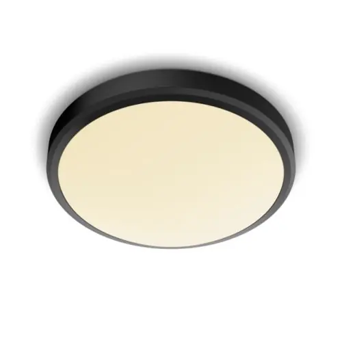 Philips plafondlamp Doris 17W zwart