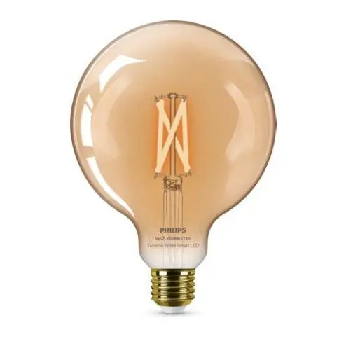 Philips PHI WFB 50W G125 E27 920-50 Amb 1PF/6