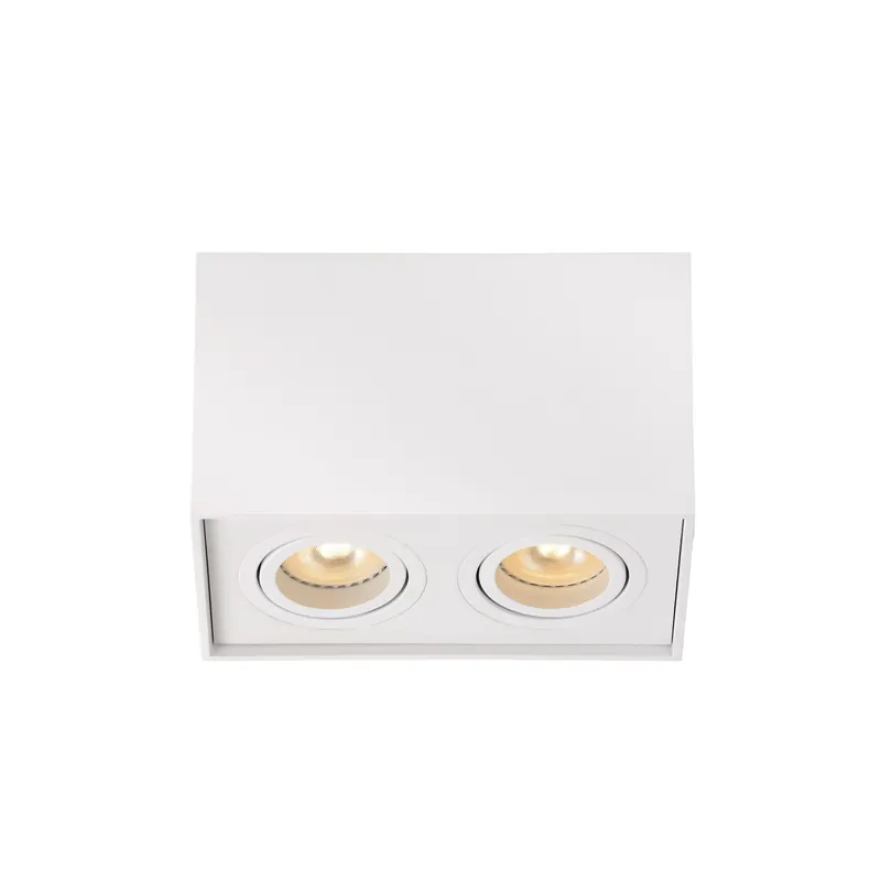Lucide Tube plafondspot 2xGU10 wit