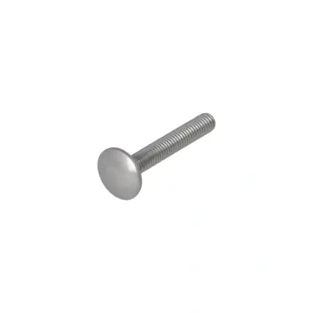 Proftec slotbout RVS-A2 DIN603 M8x30 (25)