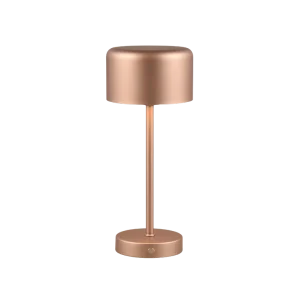 Reality  Tafellamp  JEFF 1,5W-LED, 3000K