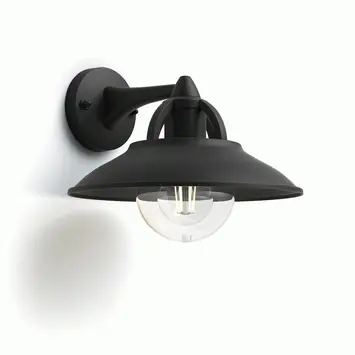 Wandlamp Philips Cormorant zwart 1x42W 230V