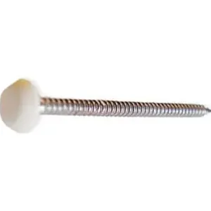RVS Polytop spijkers 3.1x38mm