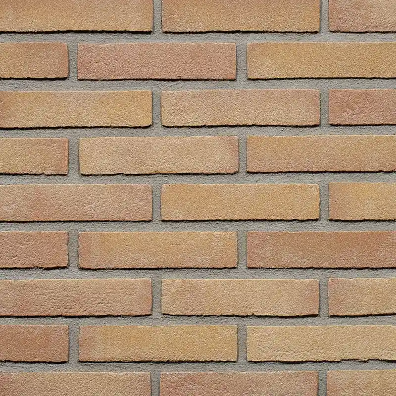 WienerbergerVormbak WF beige rood