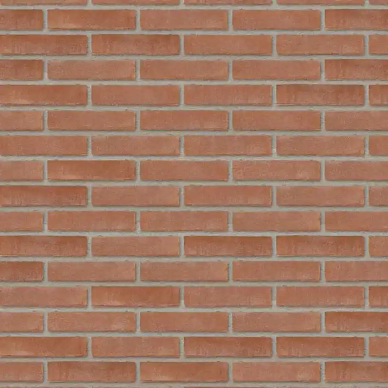 WienerbergerVormbak WF rood bruin