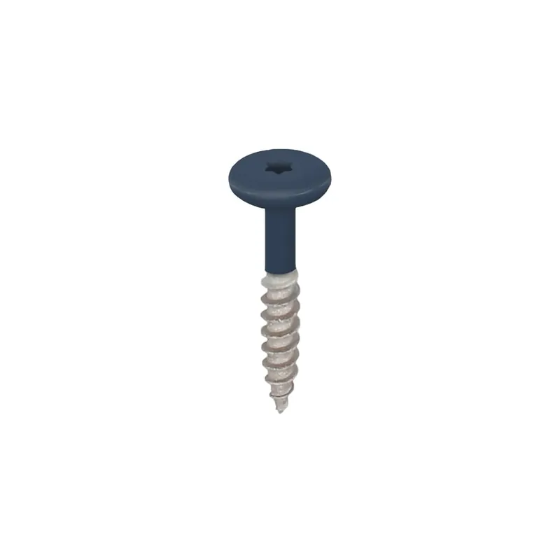 KeralitKeralit 2890 torxschroef rvs 32mm 100st