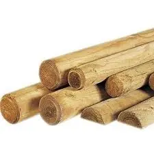 Woodvision Ronde paal, diam. 8x300 cm cilindrisch gefreesd 1 zijde gepunt 1 zijde gekroond