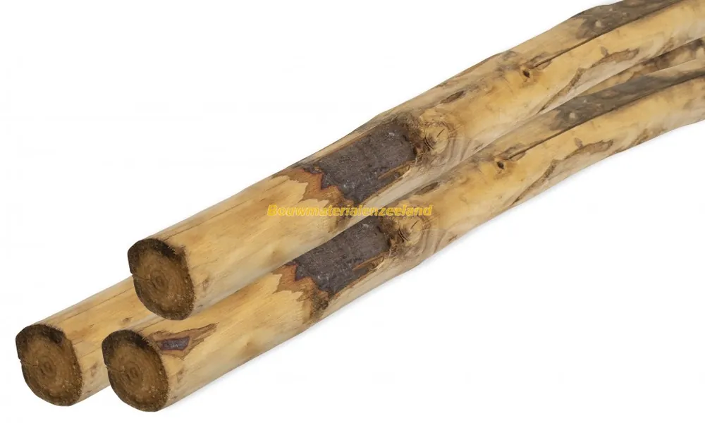 Woodvision Ronde paal tamme kastanjehout geschild, 6/8x180 cm