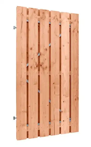 Poort Douglas op stalen frame 90x200 cm incl slot en ogen