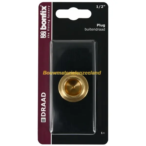 BONFIX Blister Plug met zeskant 1/2