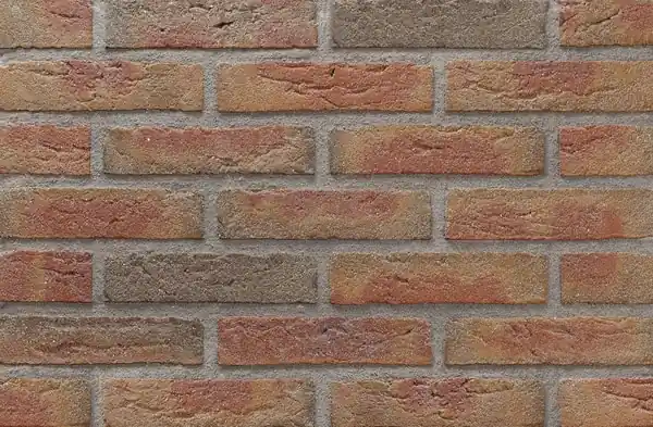 Montrea rood waaldikformaat handvorm