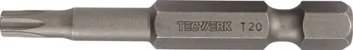 BIT 1/4 INCH T 40 LENGTE 50 MM TECWERK
