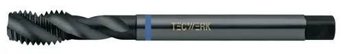 MACHINETAP DIN 376C RVS M22X2,5 MM HSS-CO GENITREERD EN GEVAPORISEERD 6H TECWERK