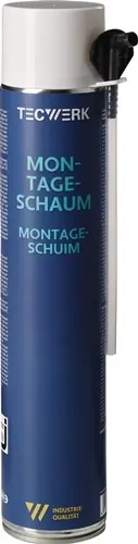 1C-MONTAGESCHUIM 750 ML B2 CHAMPAGNE MET WEGWERPHANDSCHOENEN BUS TECWERK