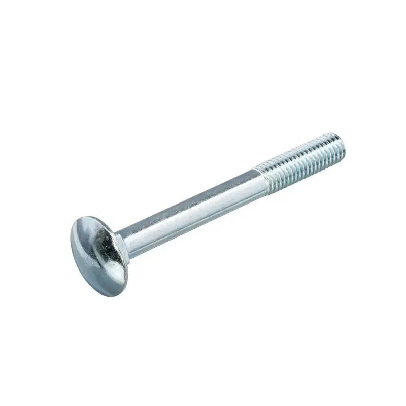 SLOTBOUT VZ 4.6 +MOER DIN603/934 M10X160