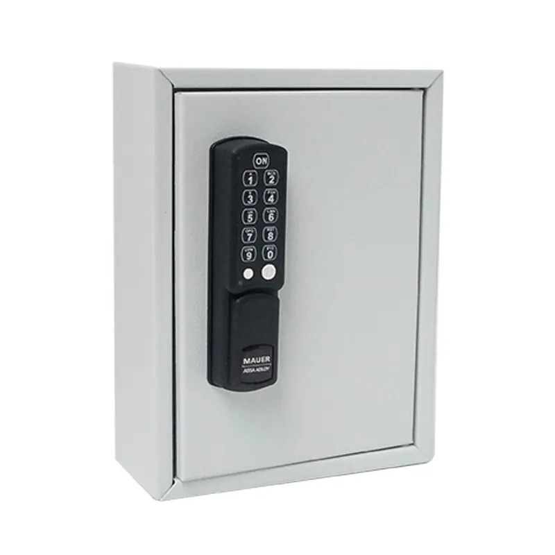 SLEUTELKAST ESL-CAM 10 HAKEN 255X190X80 (HXBXD)