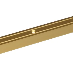 EGALISATIEPROFIEL ALU GOUD ELOX,30/2M
