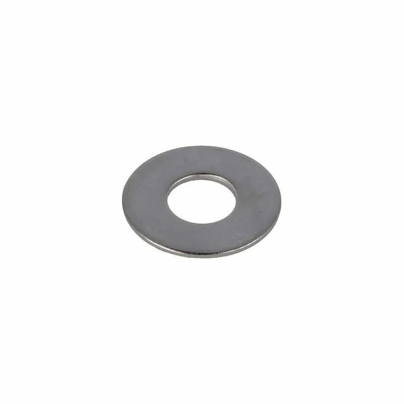CARROSSERIERING RVS-A2 M10 (10.5X30X1.0) (250)