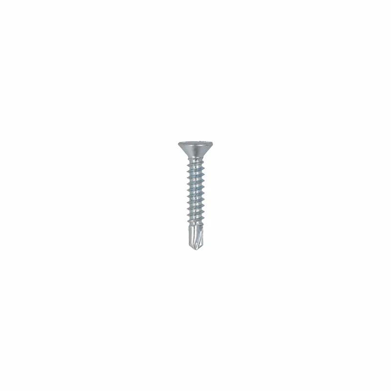 PROFTEC PLAATSCHR. ZELFB. VZ PK DIN7504P PH-2 4.8X25 (200)