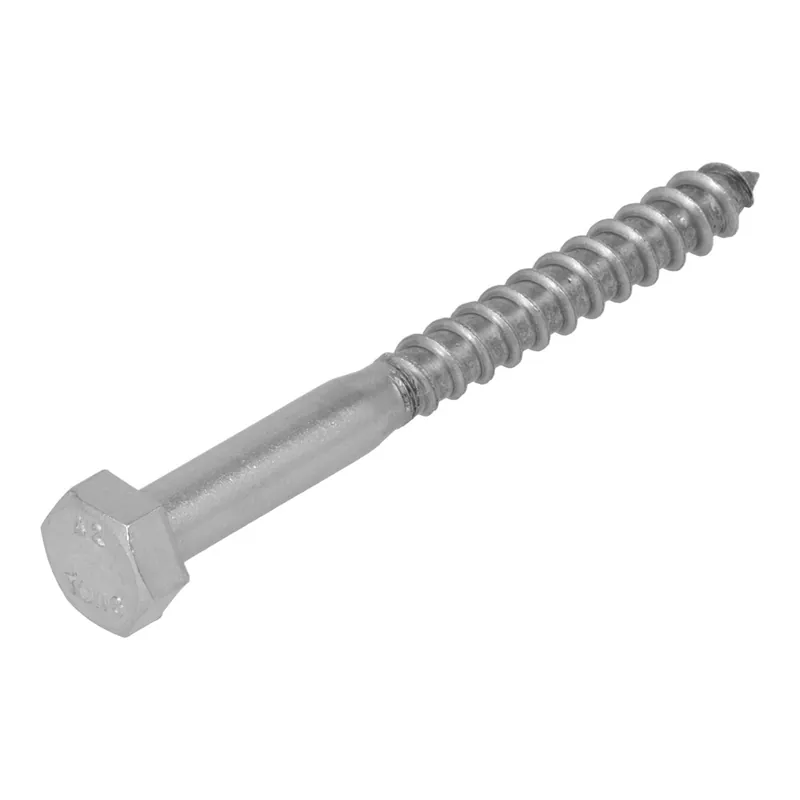 PROFTEC HOUTDRAADBOUT RVS-A2 SW-10 DIN571 6X50 (25)