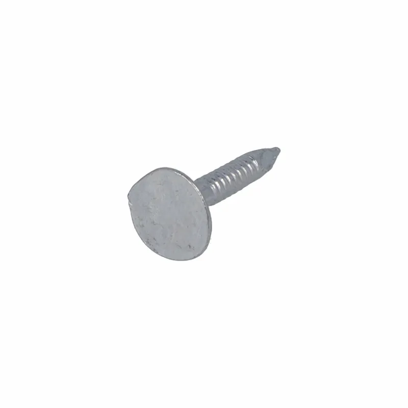 PROFTEC ASFALTNAGEL VZ PK 3.0X15 (1KG)