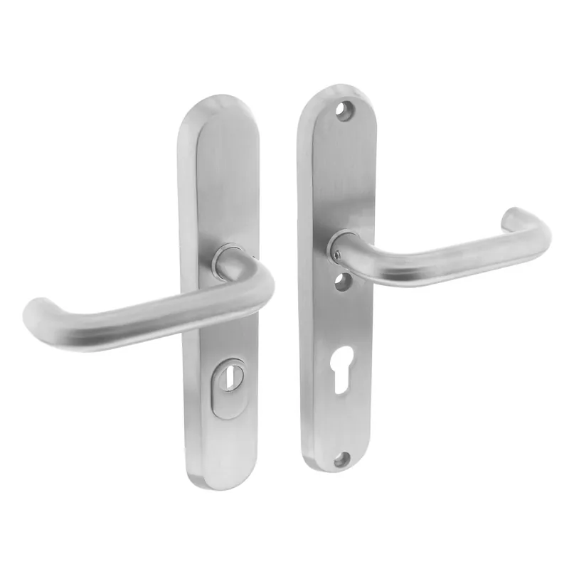 SKG3 VEILIGHEIDSBESLAG OVAAL 250X50MM KRUK/KRUK ROND MET VEERCONSTRUCTIE PROFIELCILINDERGAT 72MM MET KERNTREKBEVEILIGING RVS
