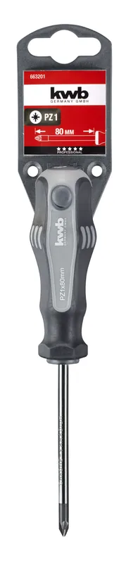 SCHROEVENDRAAIER PZ1X80 MM