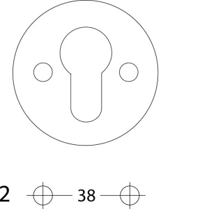CILINDERROZET ø50X2MM RVS