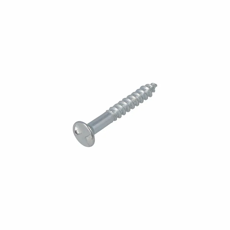 HOMEFIX ANTI-INBRAAKSCHROEF VZ 4.0X30 (20)