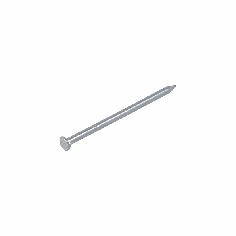 HOMEFIX DRAADNAGEL VZ PK 2.7X60 (100GR)