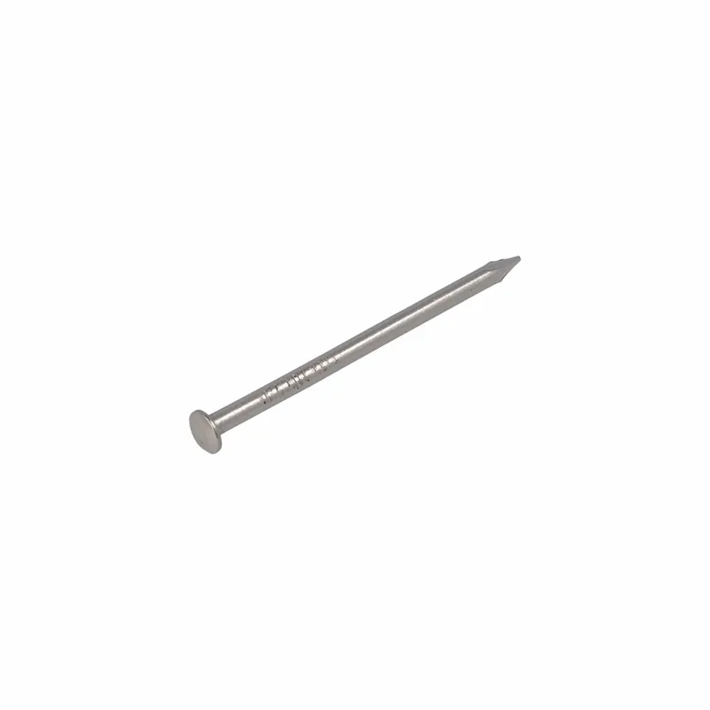 HOMEFIX DRAADNAGEL RVS-A2 1.8X30 (40GR)