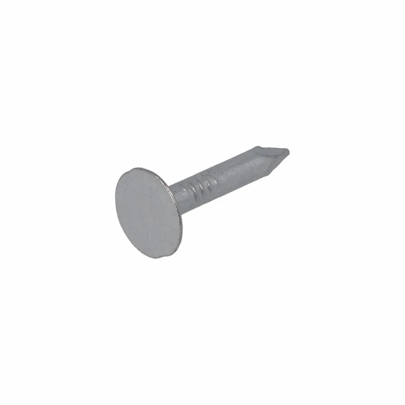 HOMEFIX ASFALTNAGEL VZ 3.0X20 (400GR)
