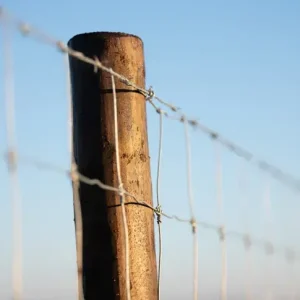 Zwart geïmpregneerde palen DURA2 Vuren