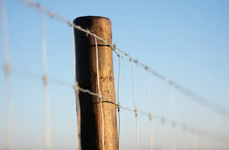 Zwart geïmpregneerde palen DURA2 Vuren