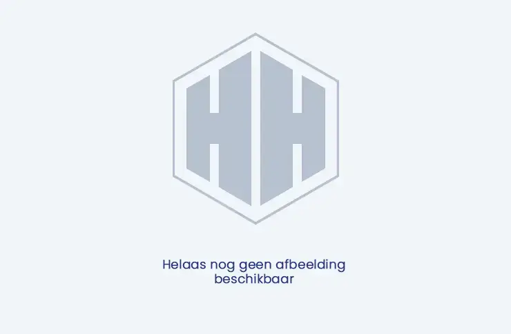 Platdakschroef SV 6.3 met volgplaatje ovaal
