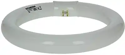 1044510 - SYLVANIA TL LAMP CIRCLIN 22W KOUD WIT 840