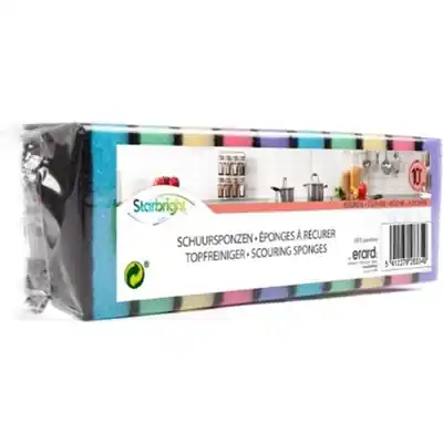 1063289 - AFWASSPONS MULTICOLOR 10 STUKS 9X6X2.4CM SB