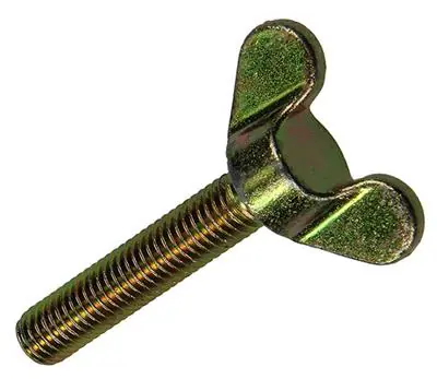 1017703 - VLEUGELSCHROEF GEELVERZINKT 2 ST M8 X 40 MM