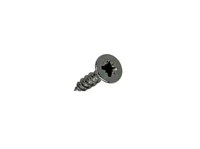 1019729 - SPAANPLAATSCHROEF VZ KOP RVS 35 ST 3,0 X 12 MM
