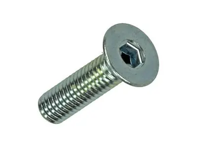 1017656 - BINNENZESKANT BOUT VERZ. KOP VERZ. 12ST M4X16