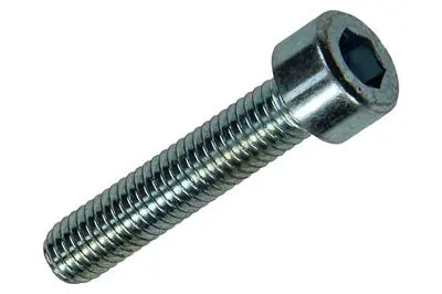 1017650 - BINNENZESKANT BOUT CYL.KOP VERZ. 6 ST M6 X 30 MM