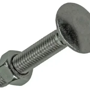 1019905 - HOUTBOUT + MOER ROESTVRIJSTAAL 6 ST M5X30 MM