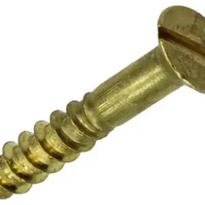 1019653 - HOUTSCHROEF VERZONKEN KOP MESSING 9 ST 4,0 X 25 MM
