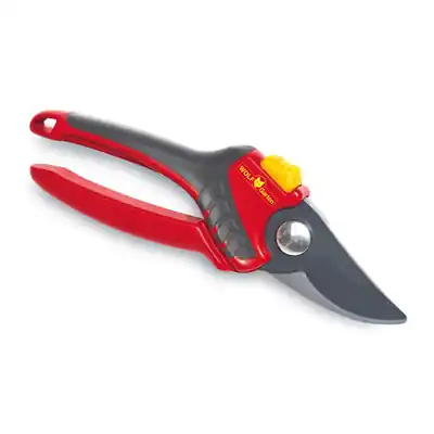 1025126 - WOLF SNOEISCHAAR RR 2500